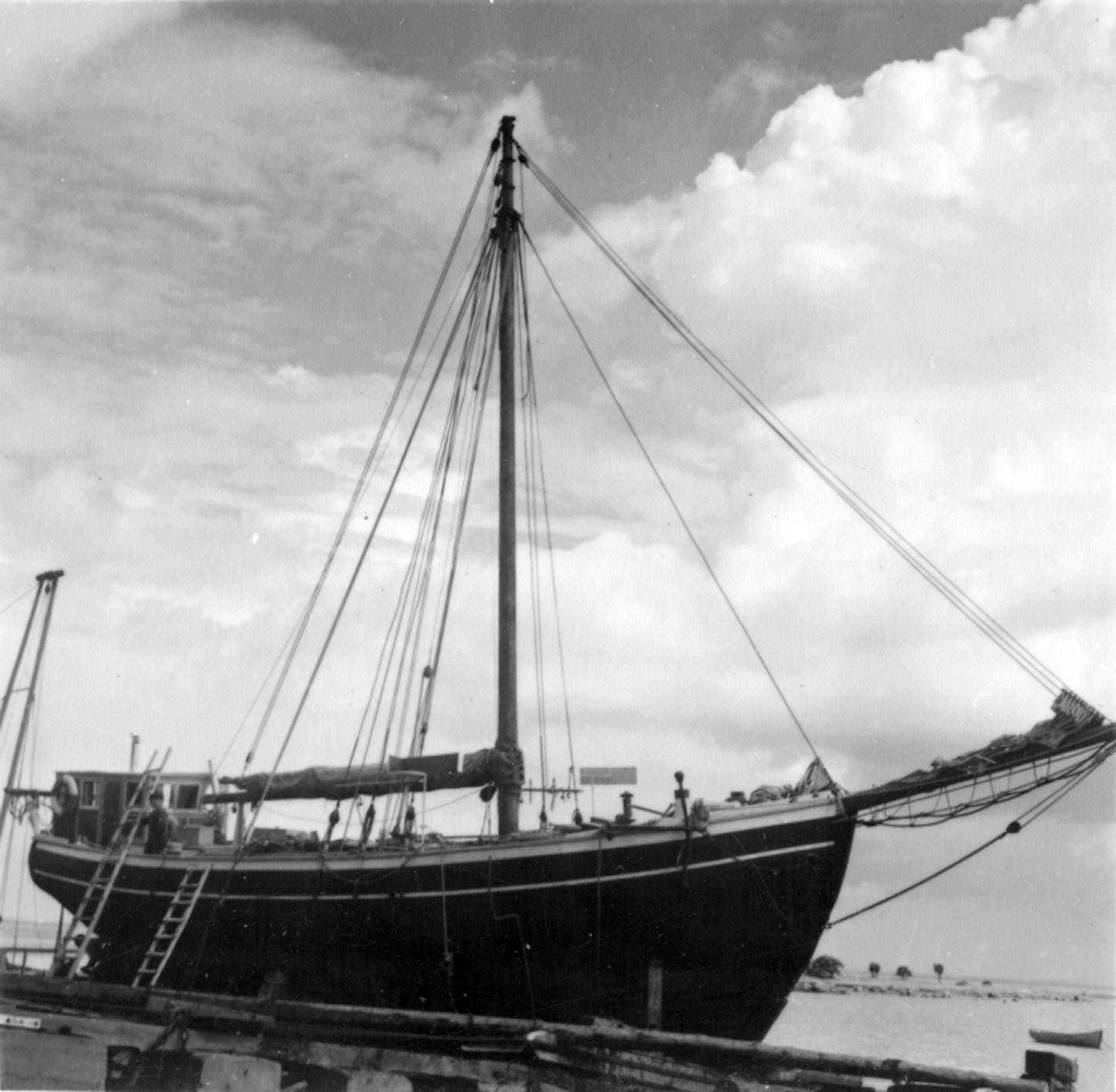 Historic Vessel Vega Could this be the Real Story
